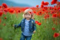 Little girl picking poppies in a field Little girl poppy field, jeans.Hiding in flowers cute beauty child Royalty Free Stock Photo