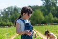 Adorable little girl picking strawberries in the field on a sunny summer day Royalty Free Stock Photo
