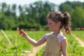 Little girl picking strawberries in the field on a summer day Royalty Free Stock Photo