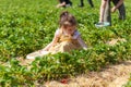 Little girl picking strawberries on a strawberry field in summer Royalty Free Stock Photo