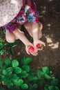 Little girl picking strawberry on a farm field.  Strawberry in a kid hand against background of flowers Royalty Free Stock Photo