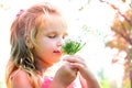 Little girl picking summer flowers in a field. Happy child enjoying nature outdoors. Sunlit  little girl smelling summer flowers Royalty Free Stock Photo