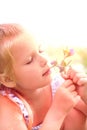 Little girl picking summer flowers in a field. Happy child enjoying nature outdoors. Sunlit  little girl smelling summer flowers Royalty Free Stock Photo