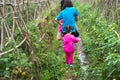 Little girl picking tomatoes with her mother in a cultivated land field closeup