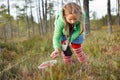 Little girl picking wild cranberries