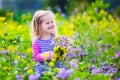 Little girl picking wild flowers in a field Royalty Free Stock Photo