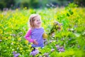Little girl picking wild flowers in a field Royalty Free Stock Photo