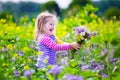 Little girl picking wild flowers in a field Royalty Free Stock Photo
