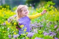 Little girl picking wild flowers in a field Royalty Free Stock Photo