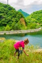 Little girl picks dry flowers at mountain reservoir edge Bulgaria