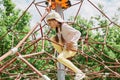 Little girl with pigtails and cap playing in rope polyhedron climb at playground outdoor having