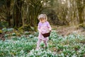 Little girl in pink dress making egg hunt in spring forest on sunny day, outdoors. Cute happy child with lots of