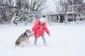 Little girl in a pink jacket playing with a Siberian husky breed dog in the winter in the snow Royalty Free Stock Photo