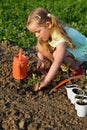 Little girl planting tomato seedlings