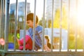 Little girl play on playground with white blur park background Royalty Free Stock Photo