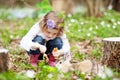 Little girl  play with real rabbit in the garden. Cute child at Easter egg hunt with  pet bunny. Spring outdoor fun for kids with Royalty Free Stock Photo