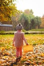 Little girl playing with autumn leaves