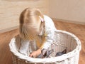 Little girl playing with a basket of kittens