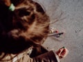 Little girl playing with bombs, colorful firecrackers