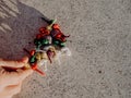 Little girl playing with bombs, colorful firecrackers