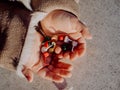 Little girl playing with bombs, colorful firecrackers