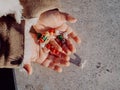 Little girl playing with bombs, colorful firecrackers