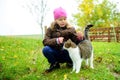 Little girl playing with cat Royalty Free Stock Photo