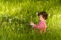 Little girl playing in a dandelion field Royalty Free Stock Photo