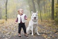 Little girl playing with dog husky walking in the forest Royalty Free Stock Photo