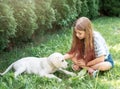 Little girl playing with a golden retriever puppy in the garden Royalty Free Stock Photo