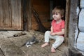 little girl is playing with a gray cat Royalty Free Stock Photo