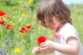 Little girl playing on green meadow examining a flower Royalty Free Stock Photo