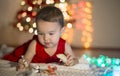 Little girl playing with her animals Royalty Free Stock Photo