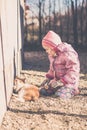 Little girl playing with her cat Royalty Free Stock Photo