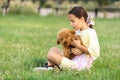 a little girl playing with her maltipoo dog a maltese-poodle breed