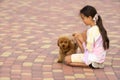 a little girl playing with her maltipoo dog a maltese-poodle breed Royalty Free Stock Photo