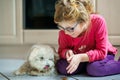 Little girl playing with her pet dog Maltese at home. Happy child and cute puppy. Love, friendship, family animal. Royalty Free Stock Photo