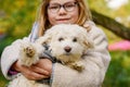 Little girl playing with her pet dog Maltese in park. Happy child and cute puppy.