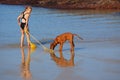 Beach fun with dog Royalty Free Stock Photo