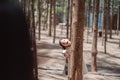 Little girl playing hiding behind tree and waving hand with family Royalty Free Stock Photo