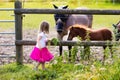 Little girl feeding baby horse on ranch Royalty Free Stock Photo