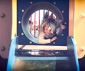 Little girl playing in the playground Royalty Free Stock Photo