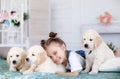 Little girl playing with Puppies Retriever Royalty Free Stock Photo