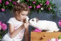 Little girl playing with real rabbit. Child and white bunny on Easter on flower background. Toddler kid feeding pet animal. Kids Royalty Free Stock Photo