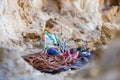 Little girl playing with rock climbing gear Royalty Free Stock Photo