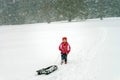 Little girl playing with sled in snow while snowflurry Royalty Free Stock Photo