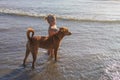 A little girl playing with a stray dog on the beach sand in the background lighting, abandoned animals in India, Royalty Free Stock Photo