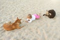 A little girl playing with stray dogs on the beach sand, abandoned animals in India, childlike spontaneity. Royalty Free Stock Photo