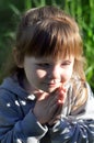 Little girl playing in sunny blooming forest, looking out from grass. Toddler child picking lupine flowers. Kids play outdoors. Su Royalty Free Stock Photo