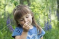 Little girl playing in sunny blooming forest. Toddler child picking lupine flowers. Kids play outdoors. Summer fun for family with Royalty Free Stock Photo